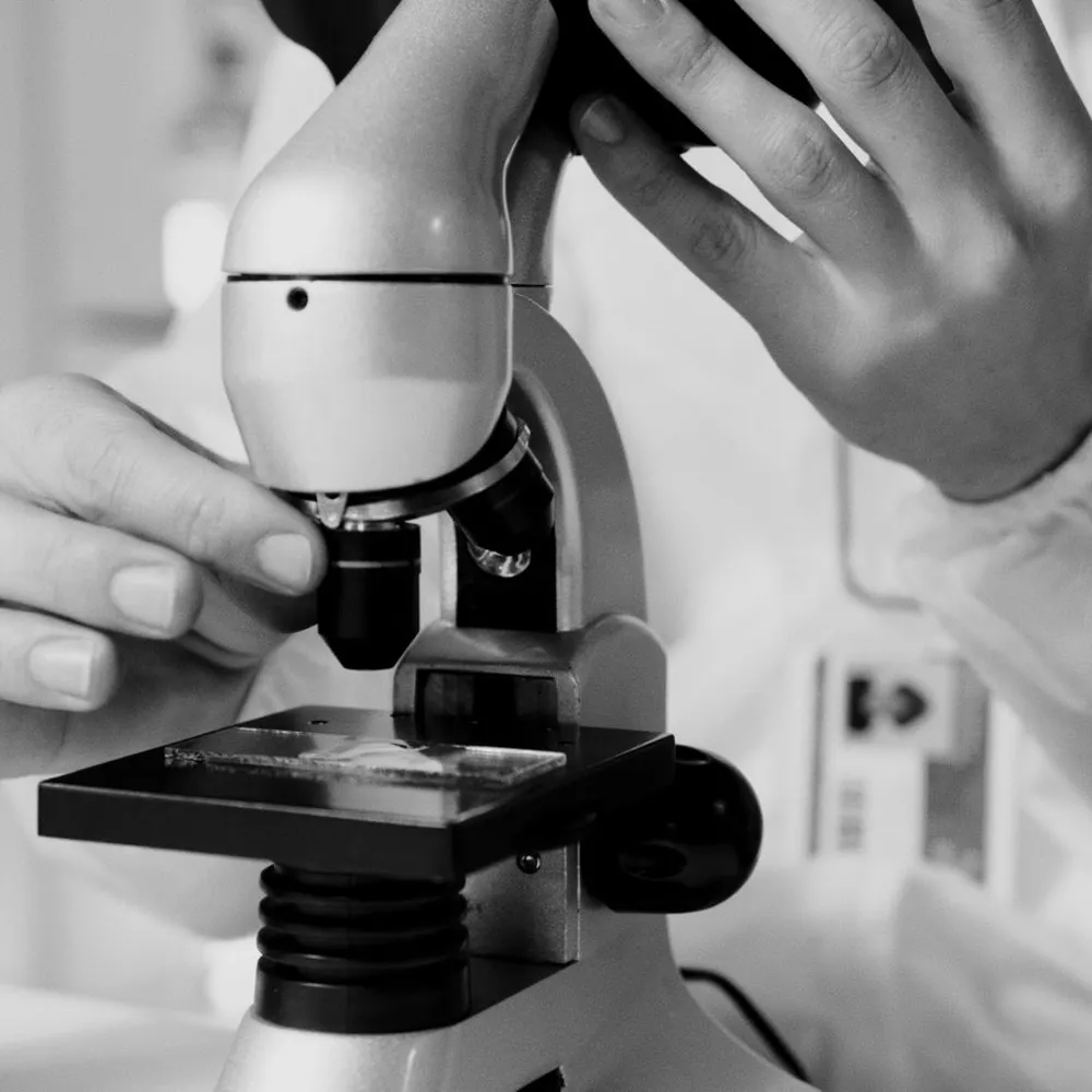 Scientist using a microscope in a laboratory